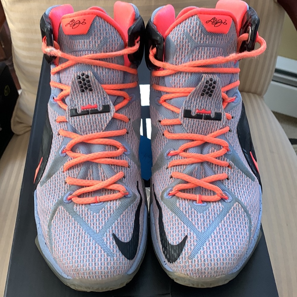 Nike Lebron Xll Easter Aluminum Sunset Glow Lava Black Siz9